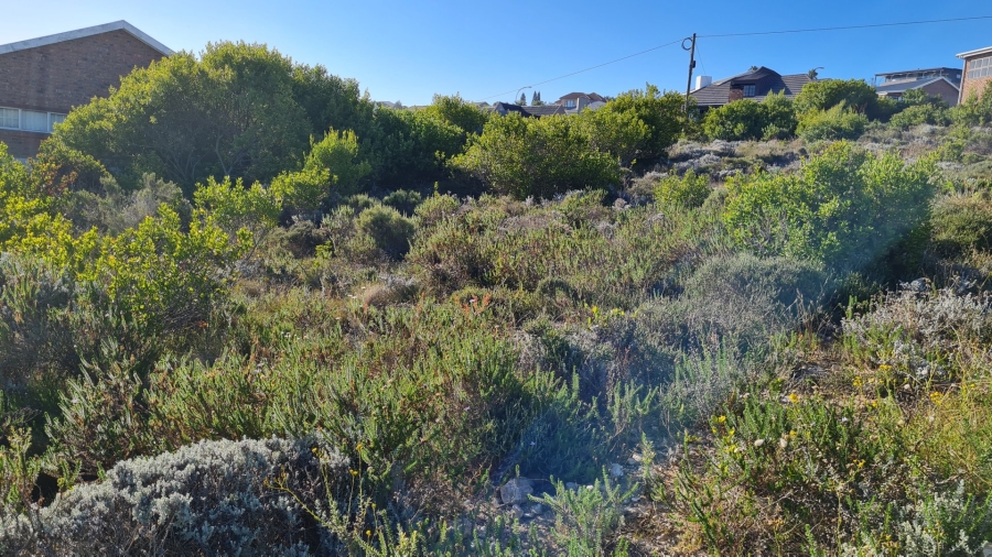 Commercial Property for Sale in Dana Bay Western Cape